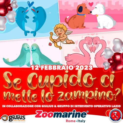 Parte la campagna solidale "Se Cupido ci mette lo zampino?"