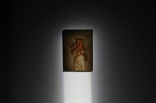 Mostra di Andreas Zampella per "QUOTIDIANA"