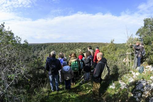 L'incantevole Bosco delle Pianelle
