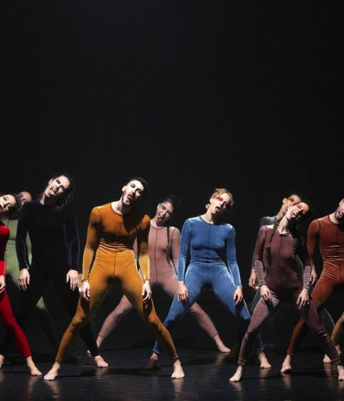 Rifare Bach (la Natural Bellezza del Creato) - Stagione Teatro Piccinni Bari