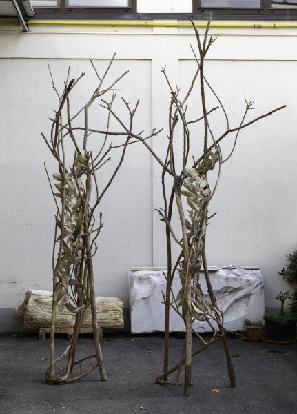 Giuseppe Penone. Gesti Universali