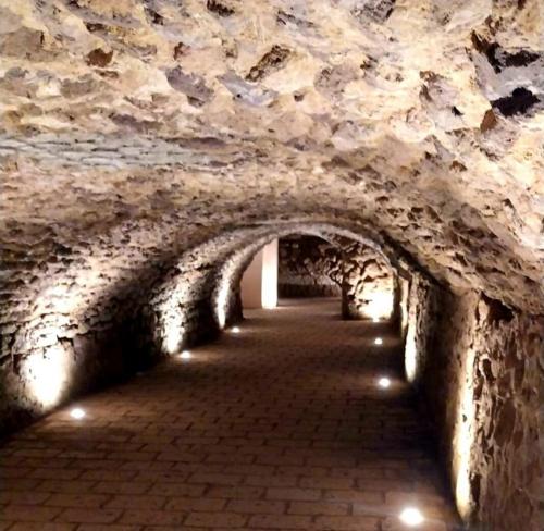 250° Anniversario della Morte di Luigi Vanvitelli