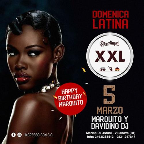 ONE Night LATINA xxl
