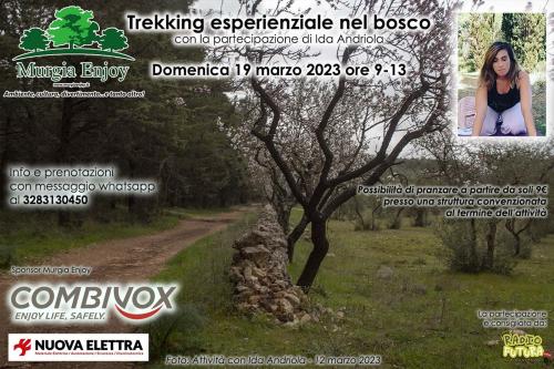 Trekking esperienziale nel bosco