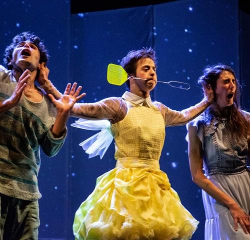 Peter Pan - Stagione Teatro Piccinni Bari