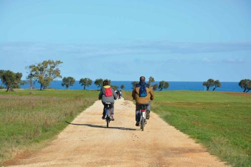 Pasquetta in bici nel Parco Regionale delle Dune Costiere
