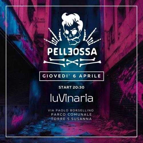PELLEOSSA - PALCO ROCK
