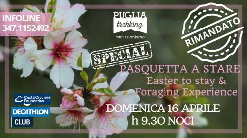 PASQUETTA A STARE Special- Easter to stay & Foraging Experience
