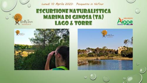 Escursione naturalistica Marina di Ginosa lago&torre