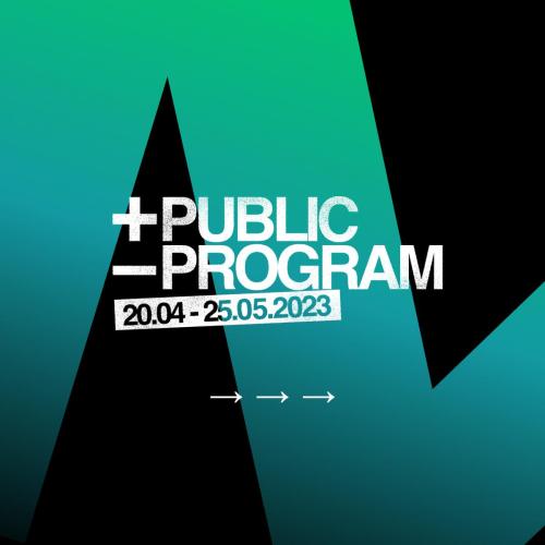 More Public Less Program