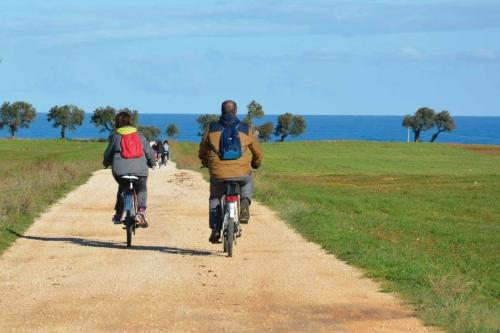 In bici nel Parco Regionale delle Dune Costiere