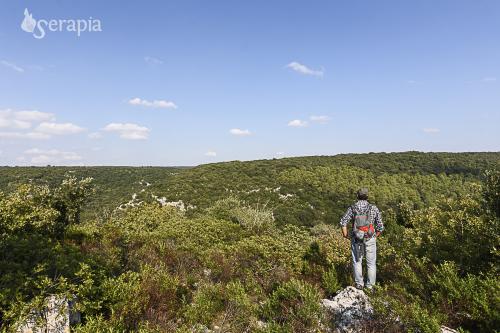 Escursione nel bosco e pic-nic di primavera