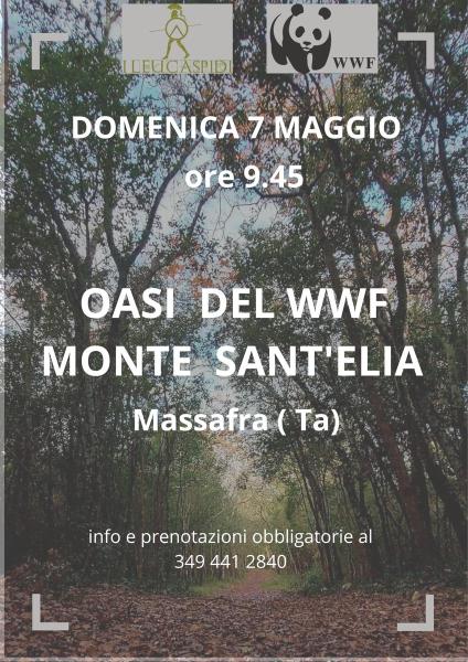 Oasi del  WWF Monte Sant’Elia