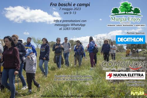 Fra boschi e campi