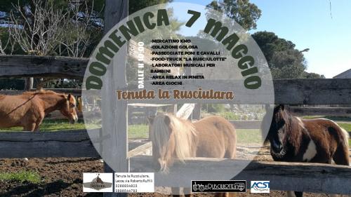 Domenica in musica a la Rusciulara