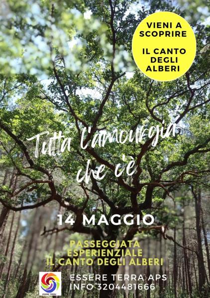 Tutta l'amourgia che c'è. Il canto degli alberi