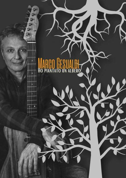 Marco Gesualdi in concerto