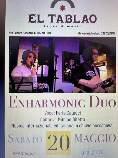Enharmonic Duo acoustic live