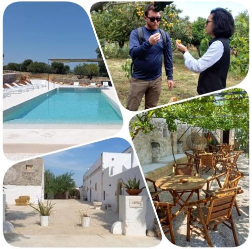 Tour Esperienziale alla Masseria Capece 🌳🍷