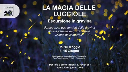 La magia delle lucciole