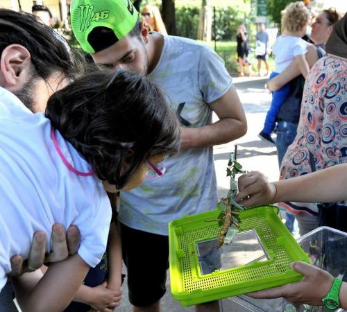 al Bioparco una giornata con Millepiedi, Insetti & Co.