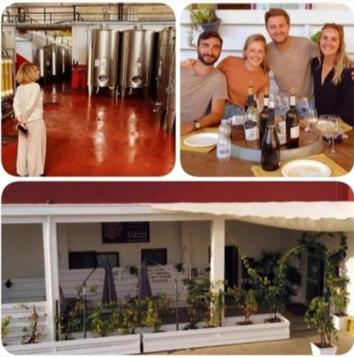 Visita guidata alle Cantine UPAL con wine tasting🍷