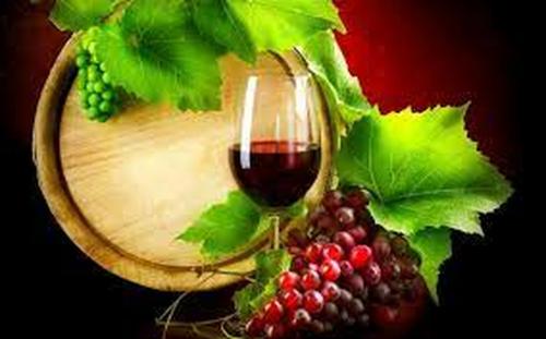 “Brindisi! - Vino, Appia, Mare” (programma in aggiornamento)