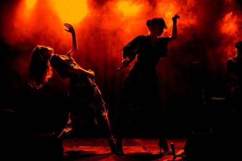 Nouvelle Vague in Concerto