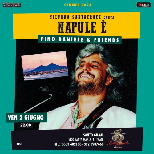 SILVANO SANTACROCE CANTA NAPULE E' ...PINO DANIELE & FRIENDS A TRANI