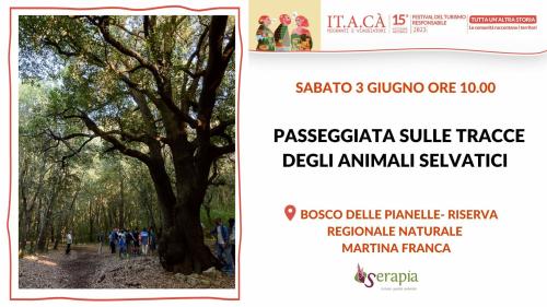 FESTIVAL DEL TURISMO RESPONSABILE: passeggiata sulle tracce degli animali selvatici
