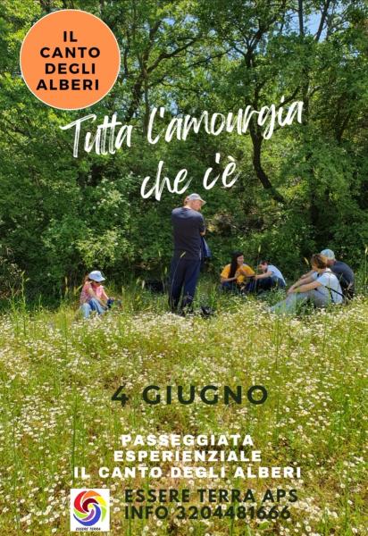 TUTTA L'AMOURGIA CHE C'È. Il canto degli alberi