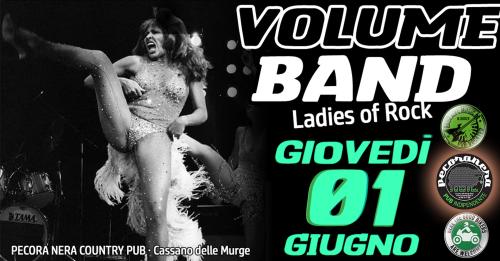 VOLUME BAND live show