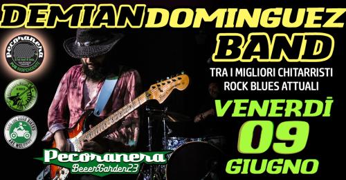 DEMIAN DOMINGUEZ BAND 🇦🇷 live show