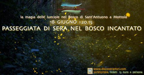 PASSEGGIATA DI SERA NEL BOSCO INCANTATO
