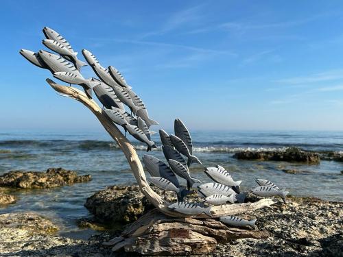 Le poisson d’Ariane - Mostra