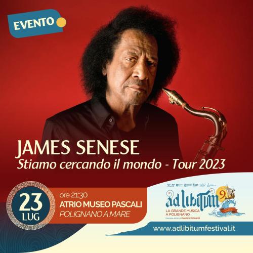AD LIBITUM IX - James Senese