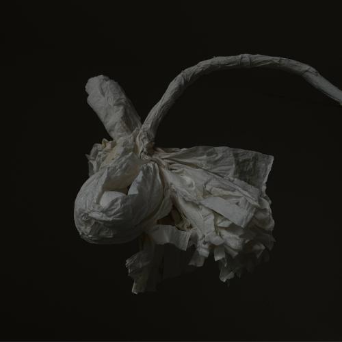 Mostra Personale di Alberte Agerskov