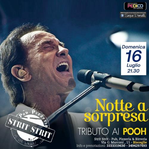 Notte a Sorpresa - Tributo ai Pooh a Bisceglie