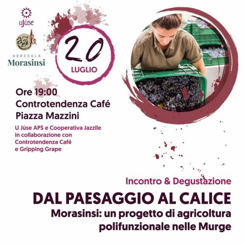 Dal Paesaggio al Calice