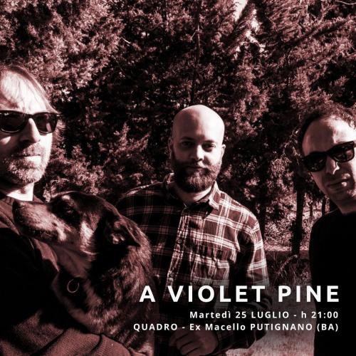 A VIOLET PINE live a QUADRO