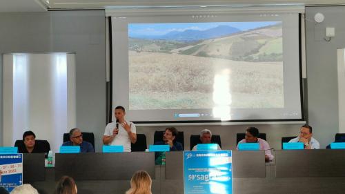 Festival dei Sapori – 50° Sagra del Cecatiello