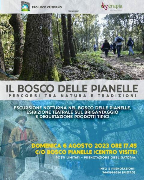 Sui passi dei briganti nel Bosco delle Pianelle