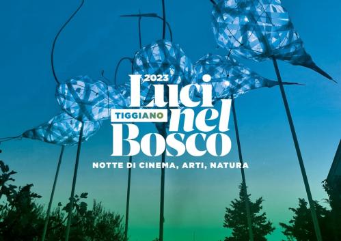Luci Nel Bosco - Cinema, Arti, Natura