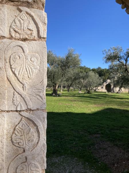 Alla scoperta del casale medievale