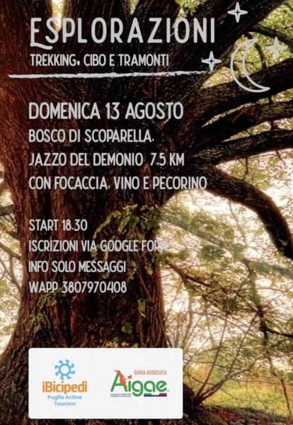 🌄 Esplorazioni al tramonto nel Bosco di Scoparella