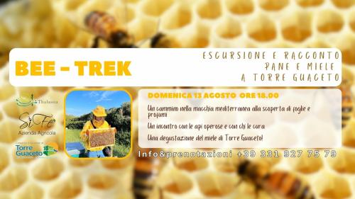BEE - TREK a TORRE GUACETO