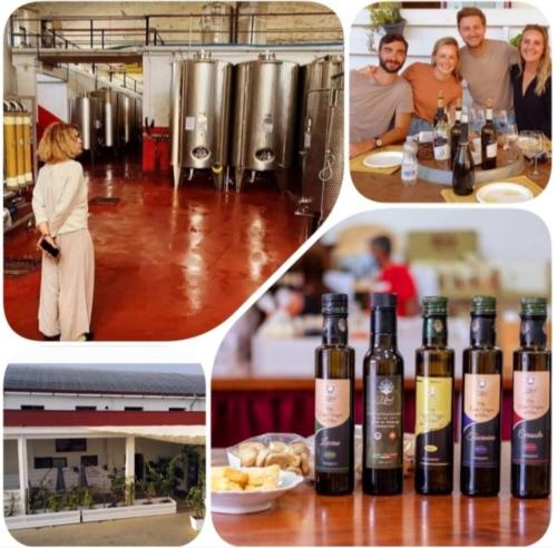 Visita guidata alle Cantine UPAL con degustazione di vini🍷