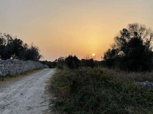 “Prima Che Sia Notte” – Quattro serate di arte al tramonto in luoghi segreti