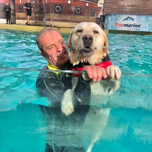 Splash Dog per la Giornata Mondiale del Cane