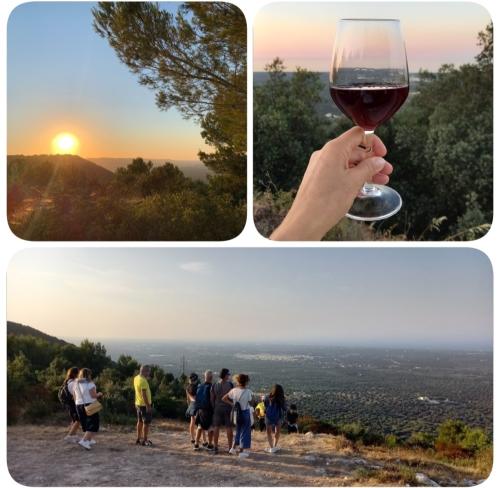 Tramonto a Monte Pizzuto con...calice di vino🌳🍷